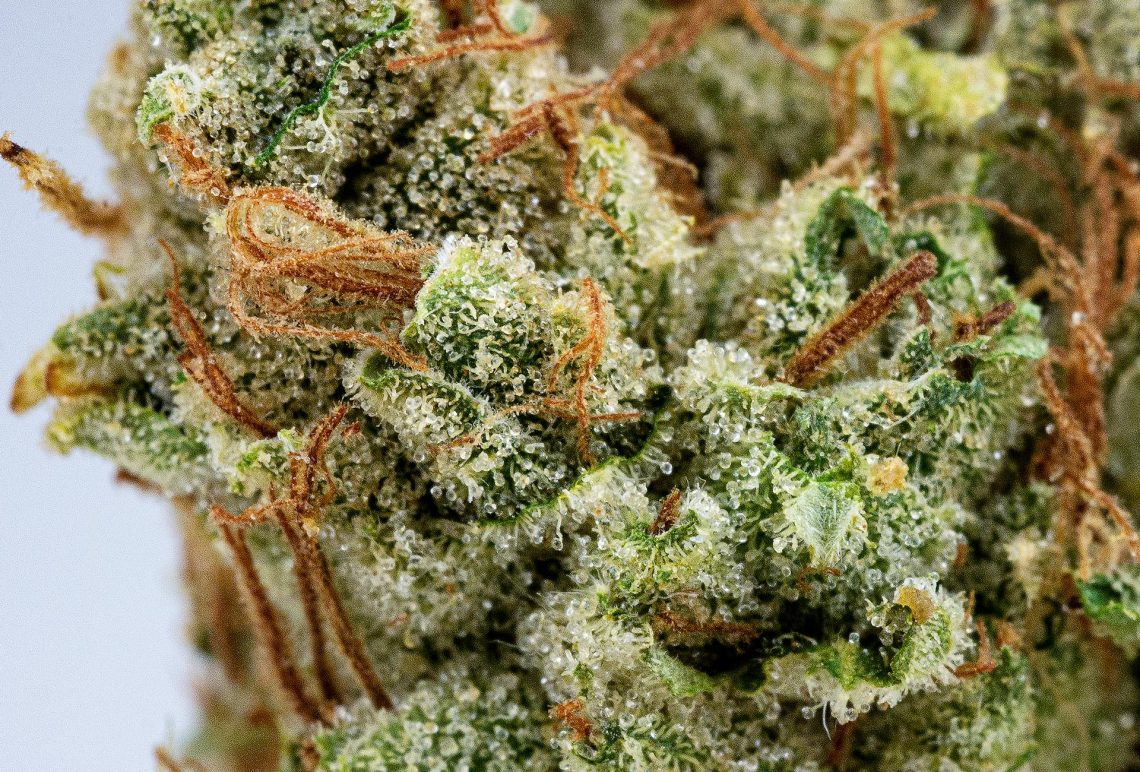 Choosing High-Quality CBD Hemp Flower: A Guide